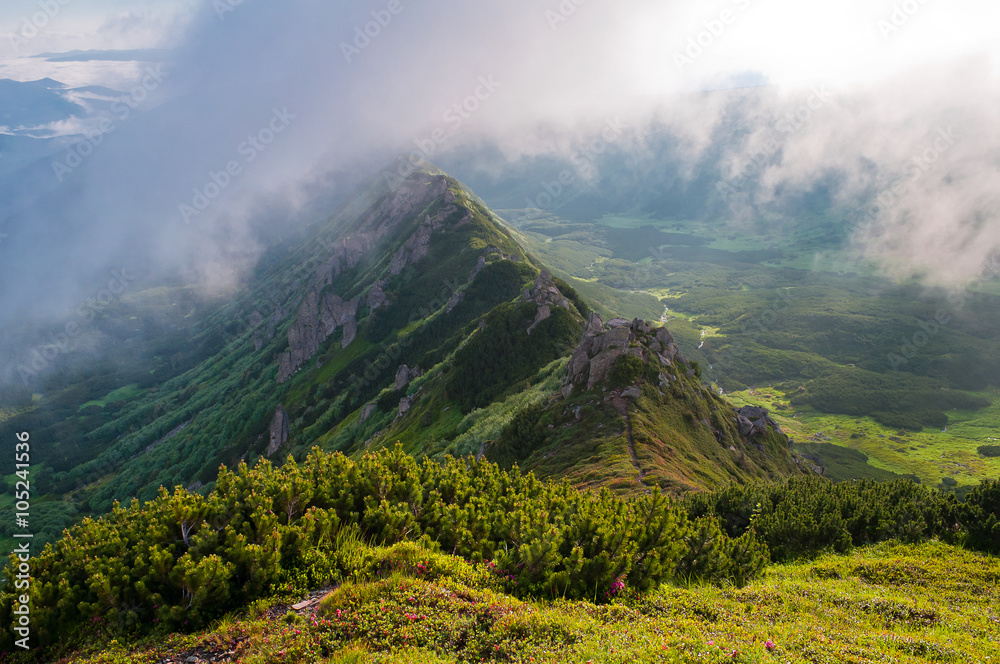 Summer landscape in the mountains. Mountain range shrouded in a