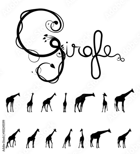 Girafes