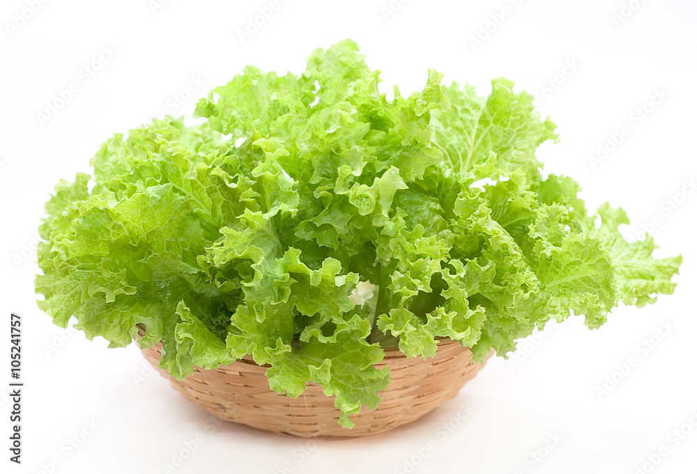 Fresh lettuce isolated on white background Fresh lettuce isolated on white background