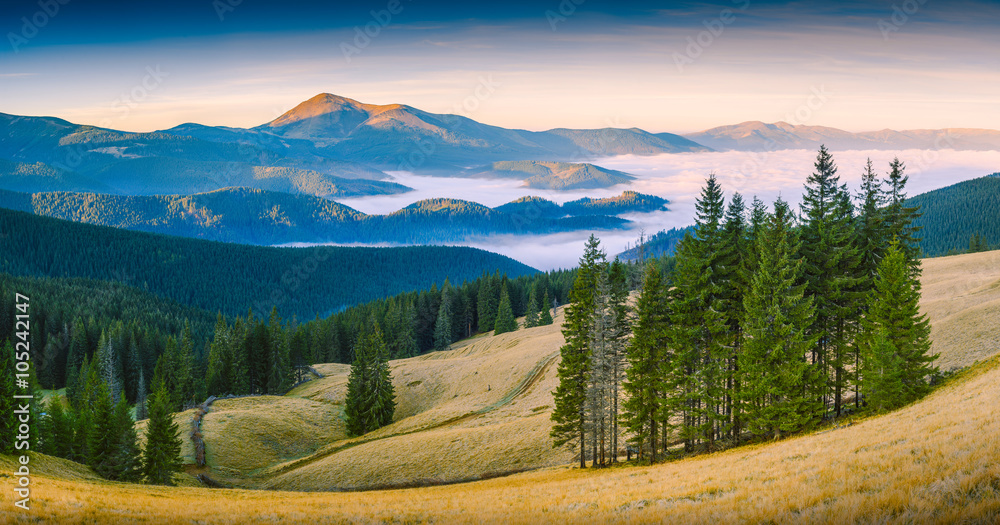 Carpathian mountain valley Carpathian mountain valley