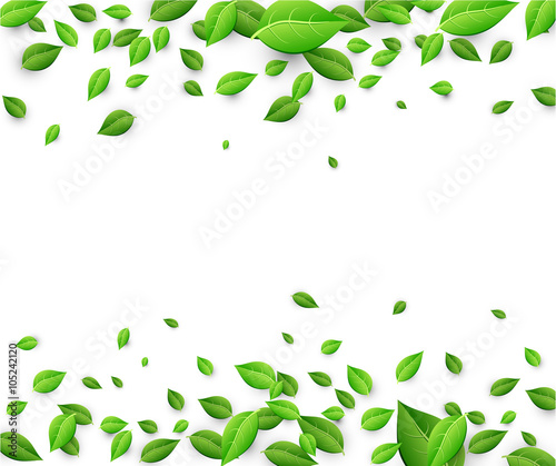 Background with green leaves.