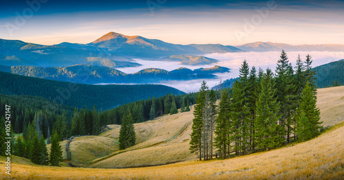 Carpathian mountain valley