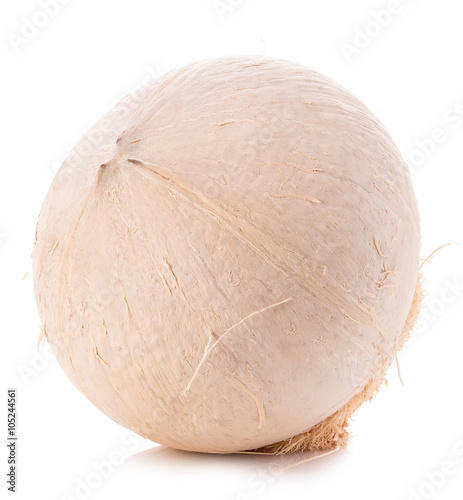 Young sweet coconut close-up isolated on white background.