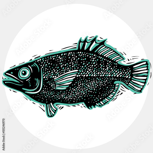 Vector drawn freshwater fish silhouette, natural graphic symbol.
