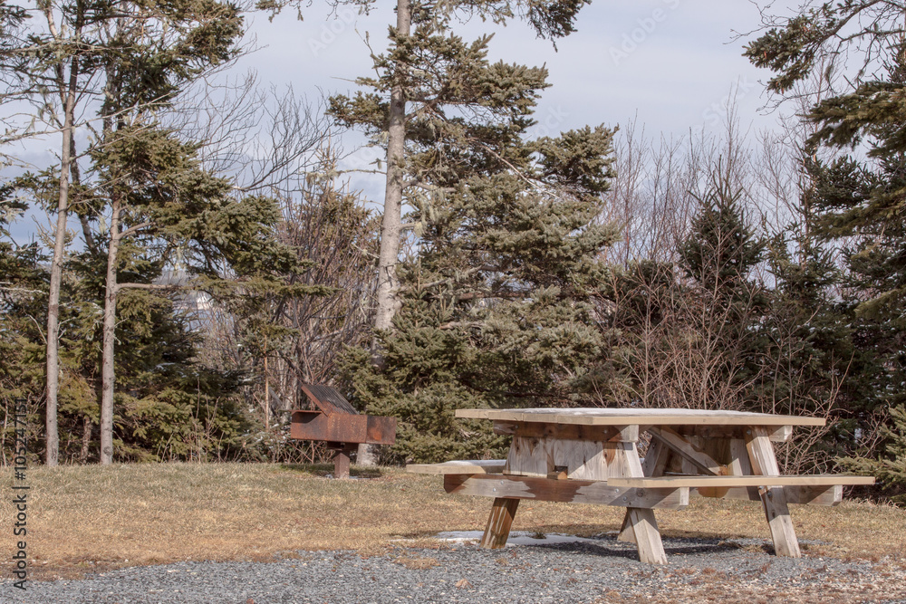 campground with picnic table and barbecue , Nova Scotia,Canada, south shore