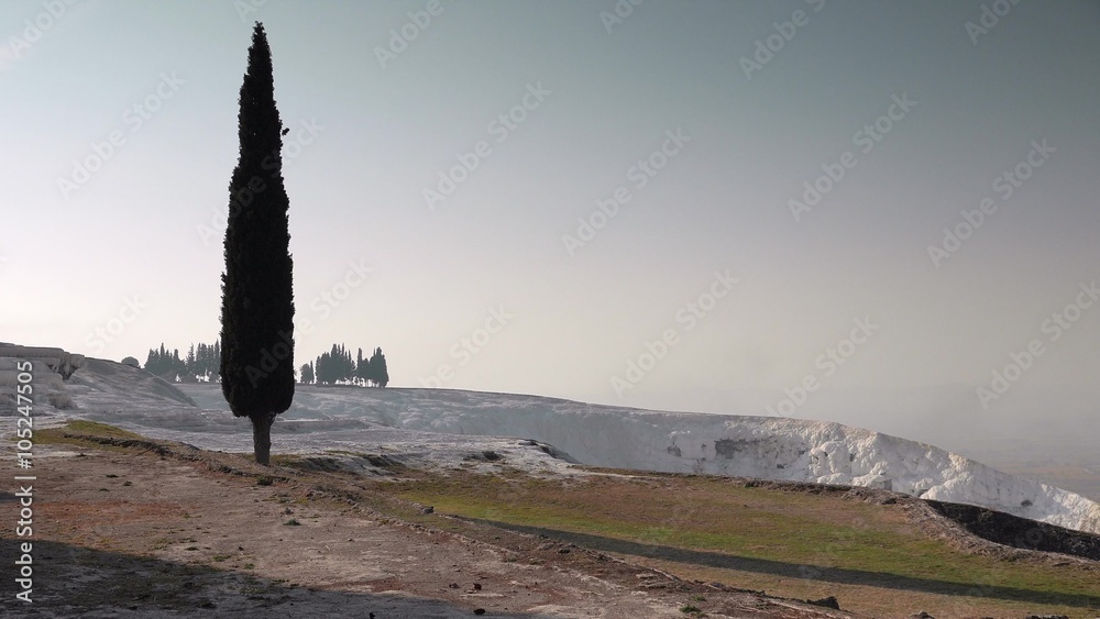 A lonely cypress with a white travertines in a distance, Pamukkale, Turkey. 4k A lonely cypress with a white travertines in a distance, Pamukkale, Turkey. 4k