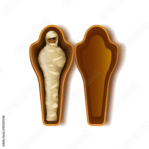 Mummy in sarcophagus isolated on white vector