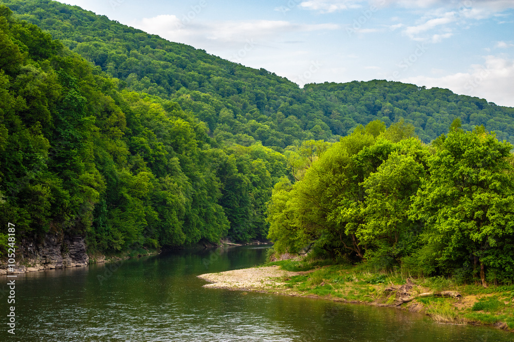 forest river with stones on shores