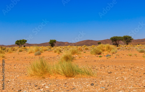 landscape in the Sahara desert