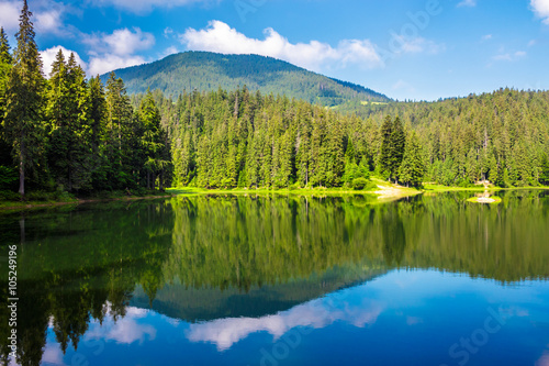 lake among the forest in mountains