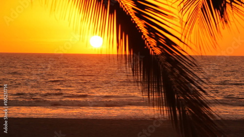 Woman walks along tropical beach at sunset