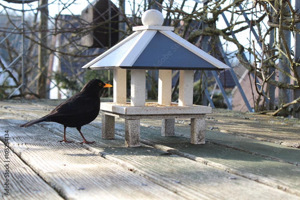 Futterhaus Fur Amseln