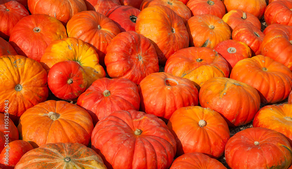Colorful pumpkins Colorful pumpkins