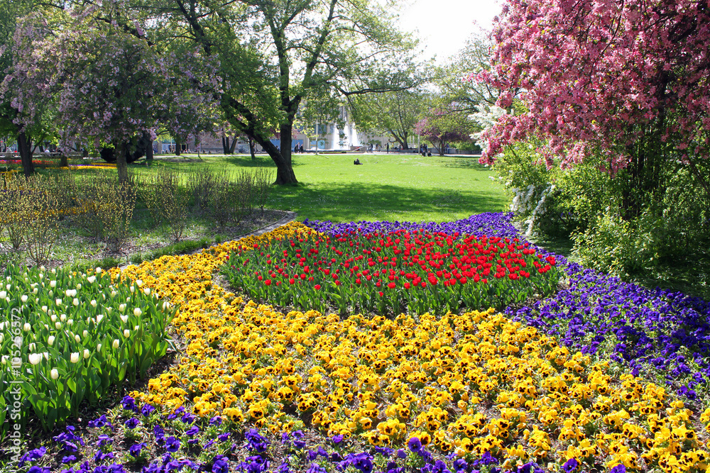 Obraz premium flower spring blooming blossom nature park