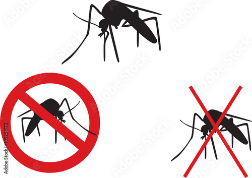 mosquito