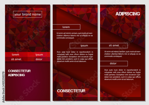 Design Abstract Vector Brochure Template. Flyer Layout, Flat Style, Infographic Elements with triangle pattern