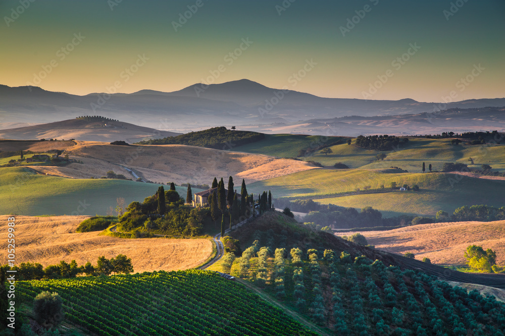 Obraz premium Scenic Tuscany landscape at sunrise, Val d'Orcia, Italy
