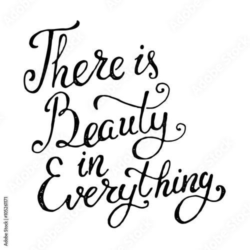There is beauty in everything. Hand draw  phrase isolated on whi