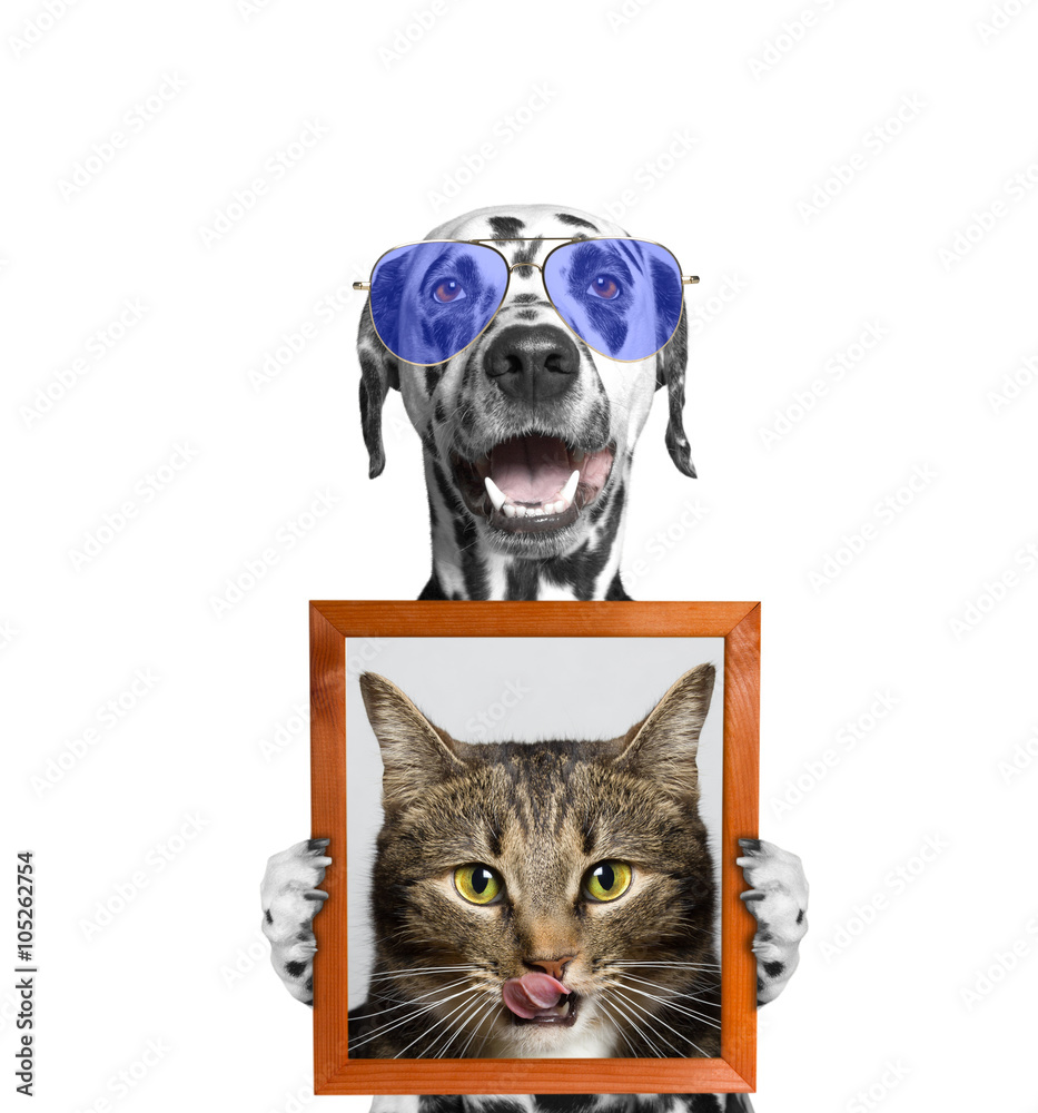dog in glasses holds a portrait of cat in its paws