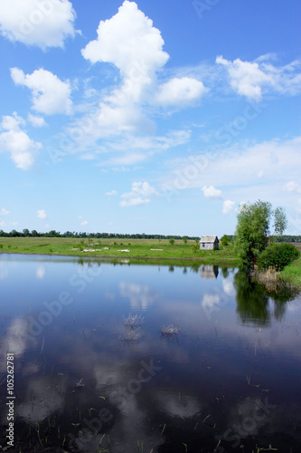 Fototapeta Naklejka Na Ścianę i Meble -  Spring landscape with pond 