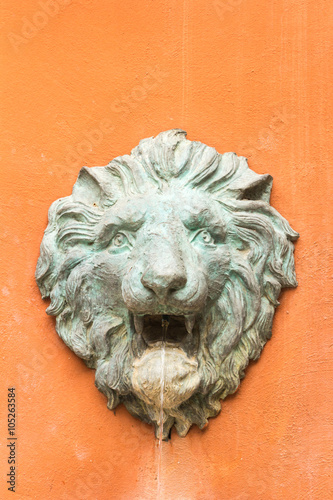 Stucco face of a lion.