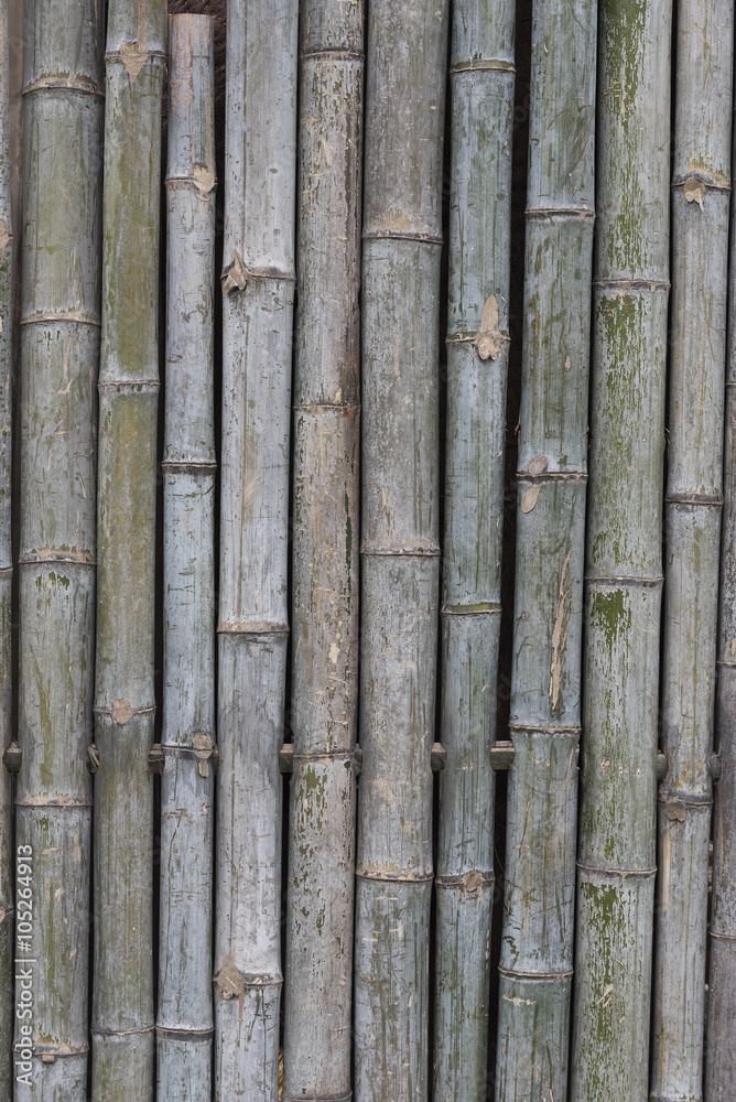 bamboo fence background bamboo fence background