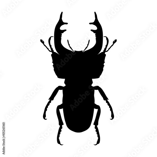 Insect silhouette. stag-beetle. Lucanus cervus. Sketch of stag-beetle. stag-beetle isolated on white background. hand-drawn stag-beetle. Vector