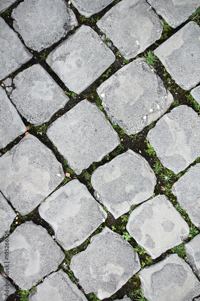 Obraz premium Paved road in Rome