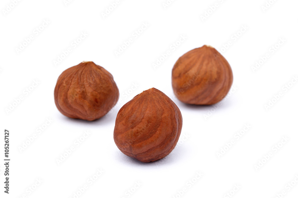 Healthy hazelnut isolated on white background Healthy hazelnut isolated on white background