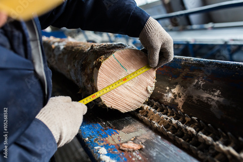 measure tree's diameter