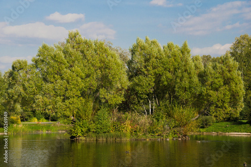 pond in a park