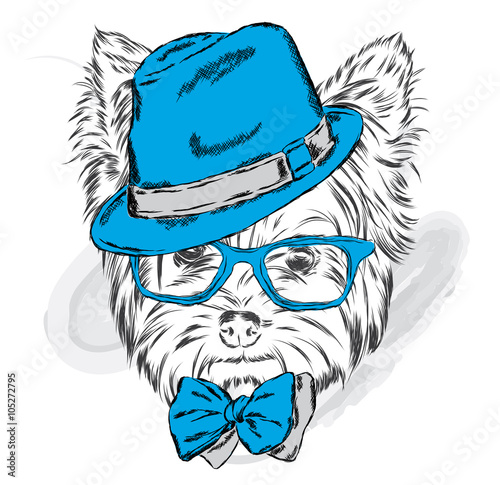 Cute puppy vector. Yorkshire terrier in a hat and sunglasses.