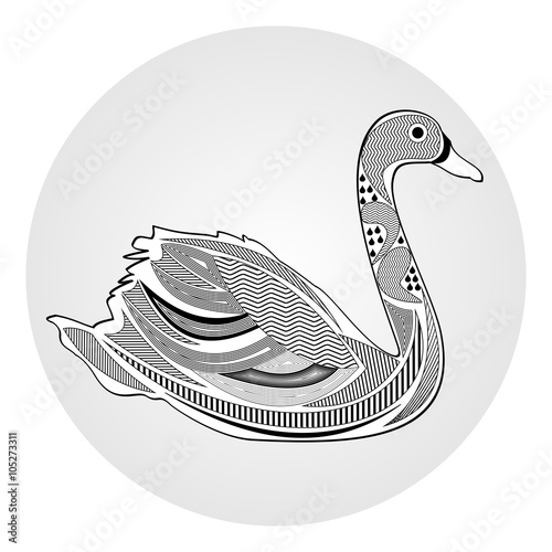Swan, black and white drawing with hatched and patterned body parts, tattoo template of water bird