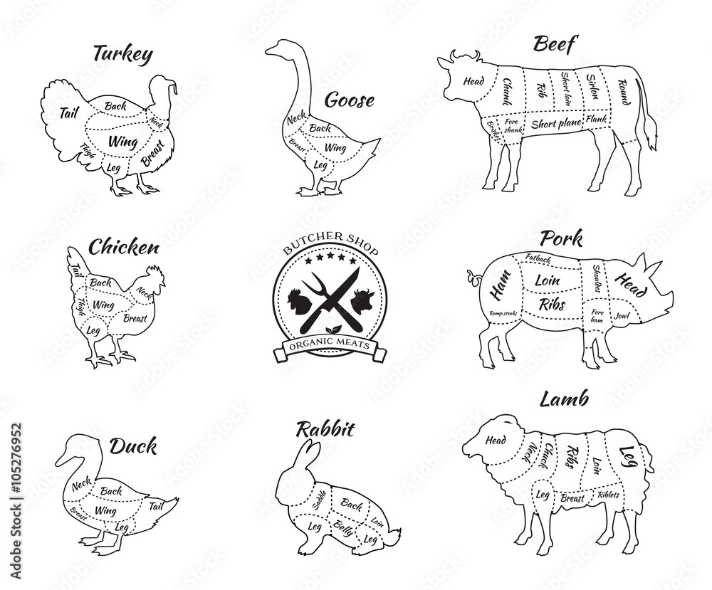 Set Schematic Vew of Animals for Butcher Shop