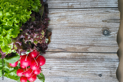 Fototapeta Naklejka Na Ścianę i Meble -  Organic red radish and multicolored fresh lettuce salad