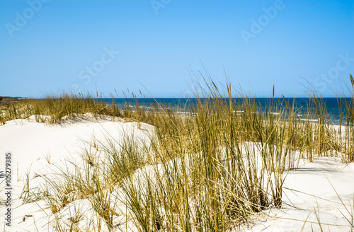 Beautiful dune with grass in the summer  landscape  Baltic Sea  Poland