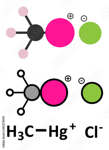 Methylmercury cation, chloride salt. Environmental pollutant.