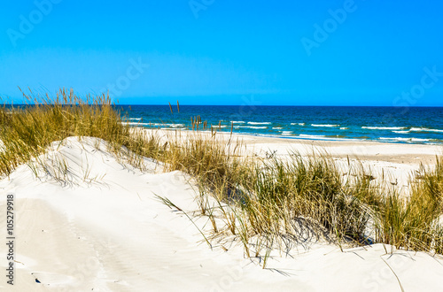 Fototapeta Naklejka Na Ścianę i Meble -  Beautiful sea landscape. Sandy beach and grass sand dune, Leba, Baltic Sea, Poland
