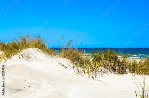 Fototapeta Naklejka Na Ścianę i Meble -  Beautiful sea landscape. Sandy beach and grass sand dune, Leba, Baltic Sea, Poland