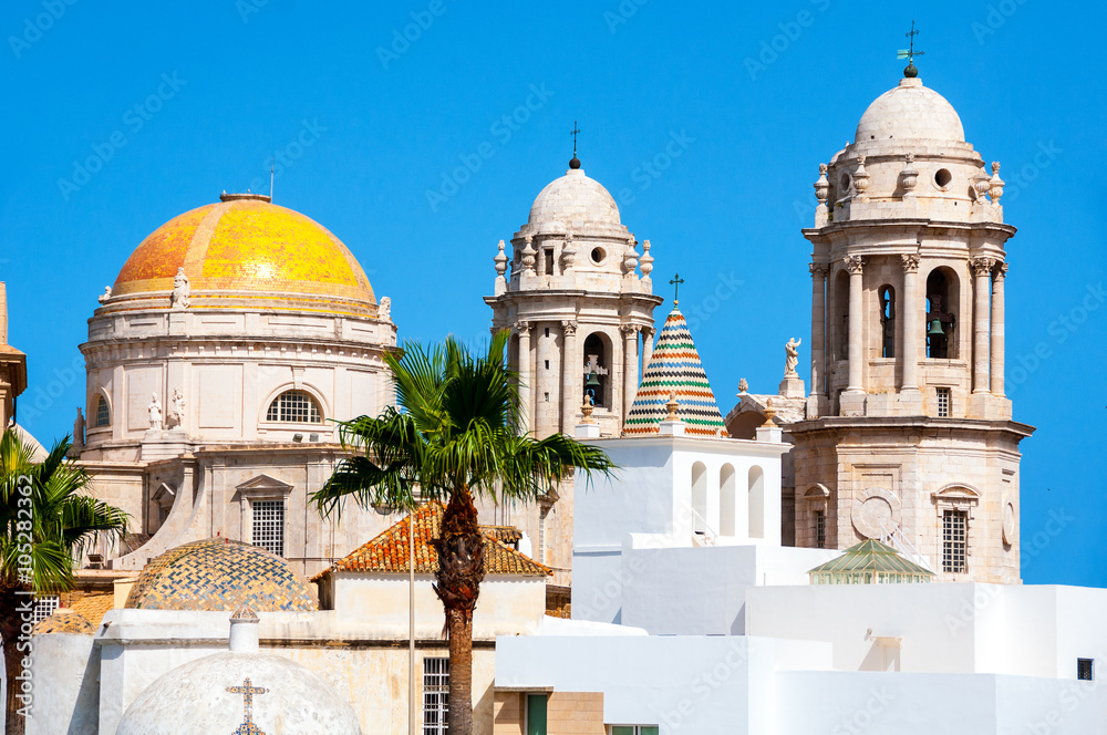 Obraz premium Cadiz Cathedral domes, Spain