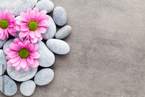 Spa stones and flowers on grey background.