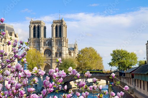 Photography Notre Dame cathedral, Paris France