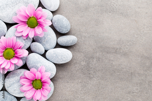 Spa stones and flowers on grey background.