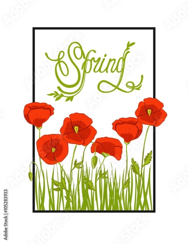 Spring flower background. Spring background with poppy and frame. Spring handwriting. Vector illustration.