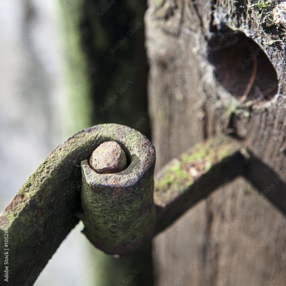Black medieval door hinge on the wooden gate in garden