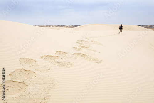 Traces of man walking on the dune.  Monahans Sandhills State Par