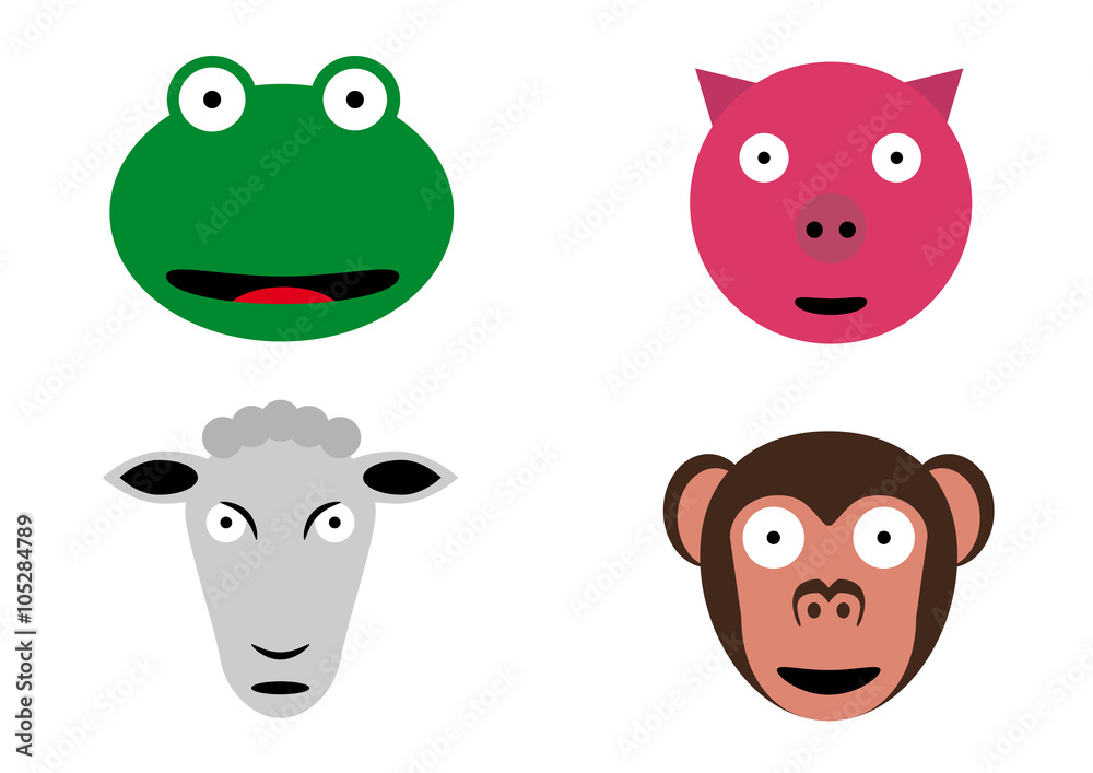 animals animals