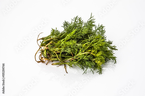 Fresh dill isolated on white background
