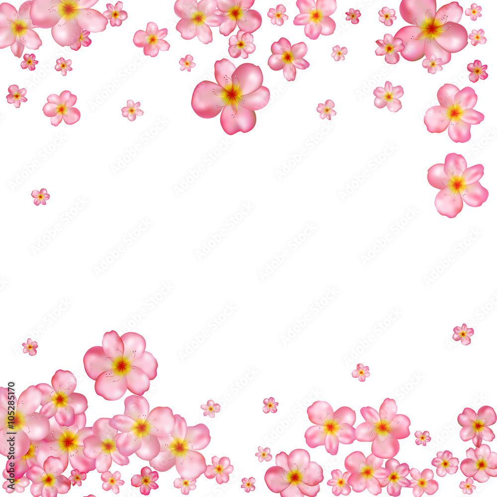 Abstract background with beautiful pink cherry blossom.
