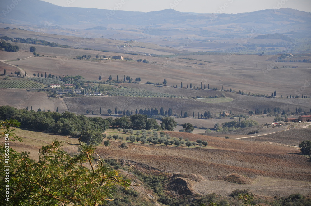 Naklejka premium toskania